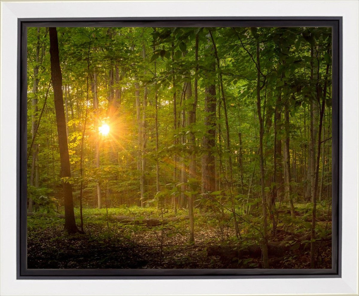 Suddenly A Light Descended Gallery Wrap