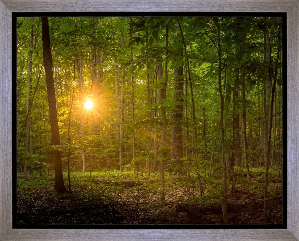 Suddenly A Light Descended