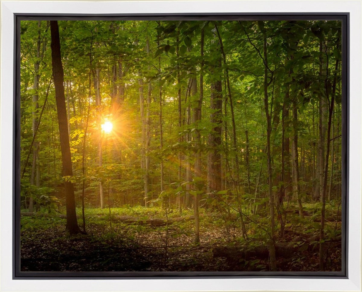 Suddenly A Light Descended Gallery Wrap