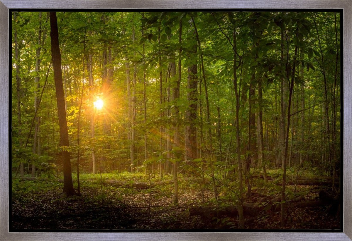 Suddenly A Light Descended