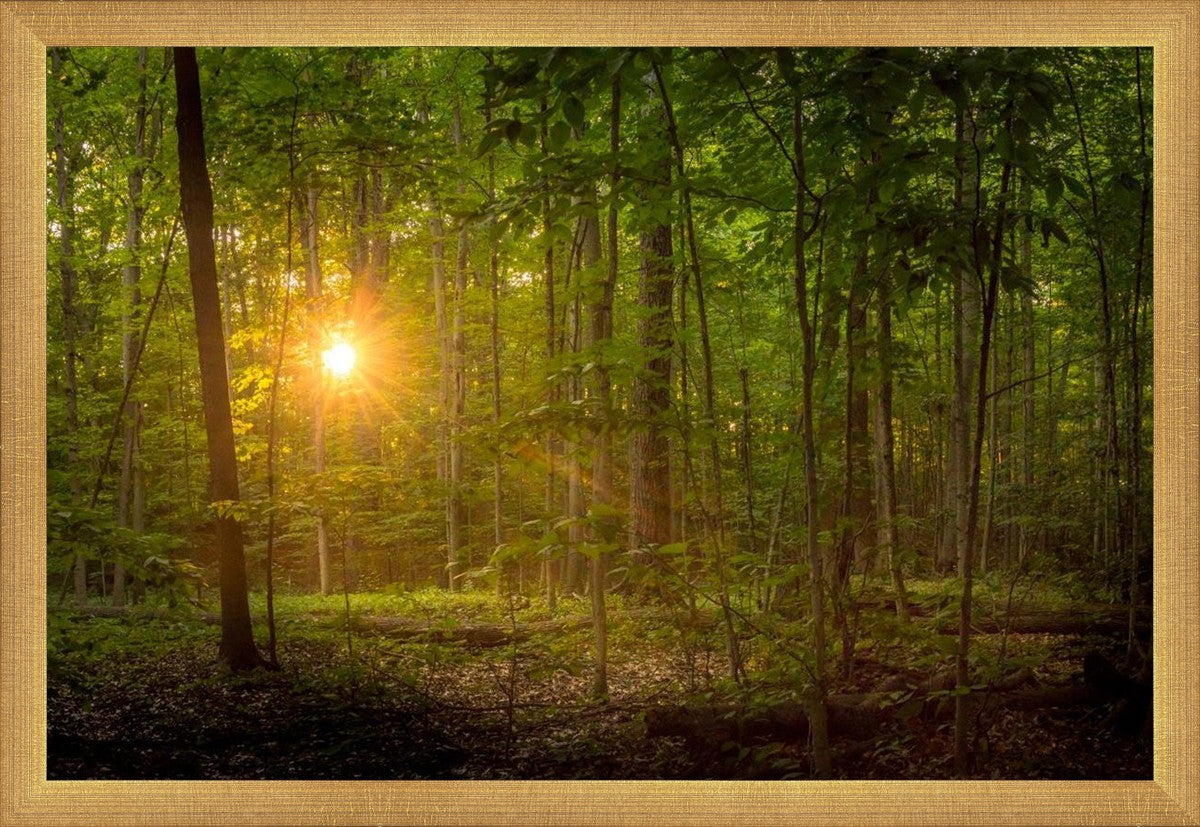 Suddenly A Light Descended