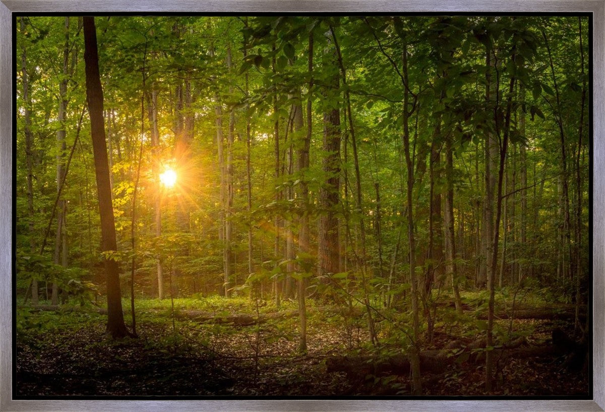 Suddenly A Light Descended