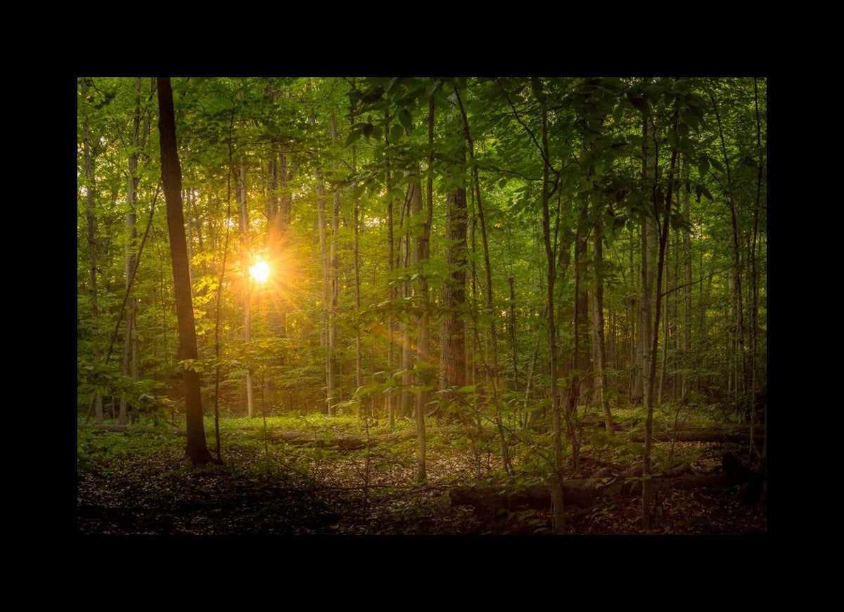 Suddenly A Light Descended