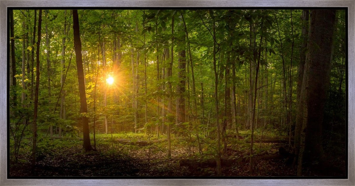 Suddenly A Light Descended