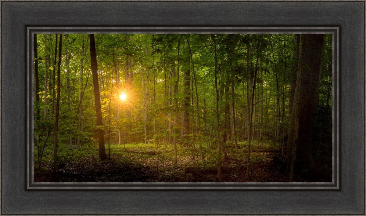 Suddenly A Light Descended