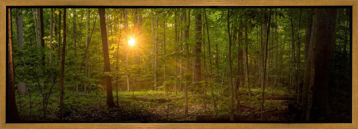 Suddenly A Light Descended