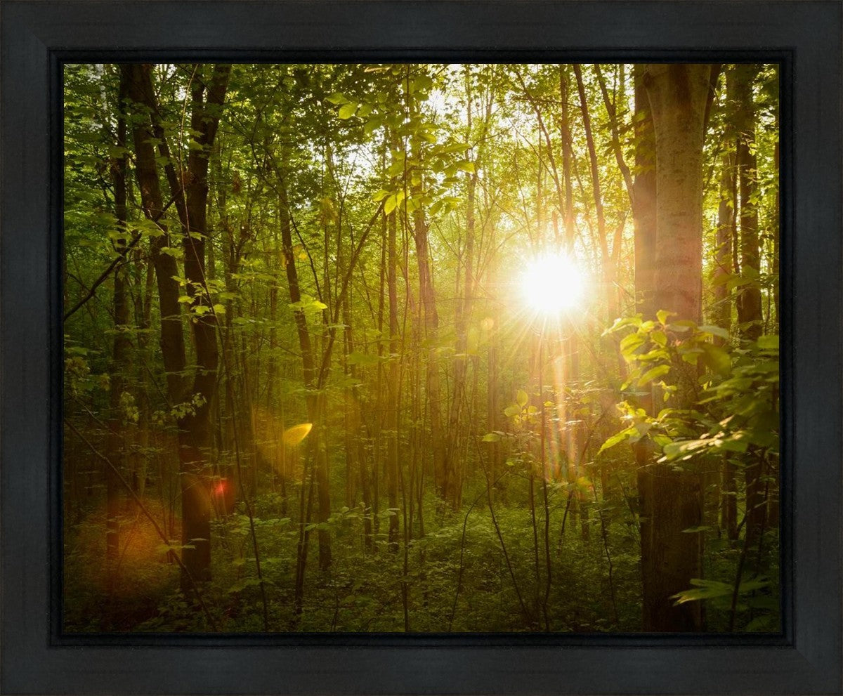 The Morning Breaks Gallery Wrap