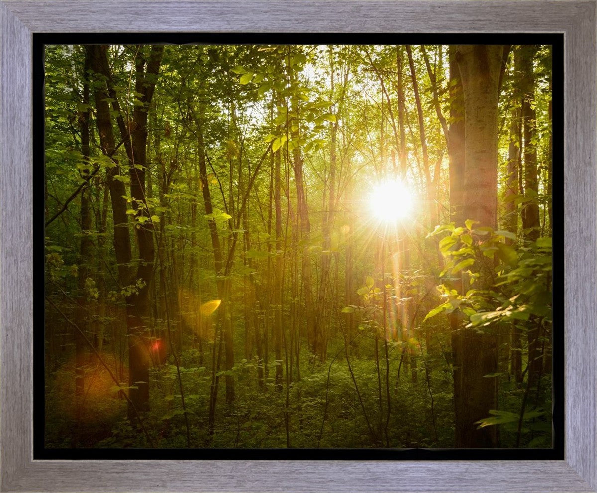 The Morning Breaks Gallery Wrap