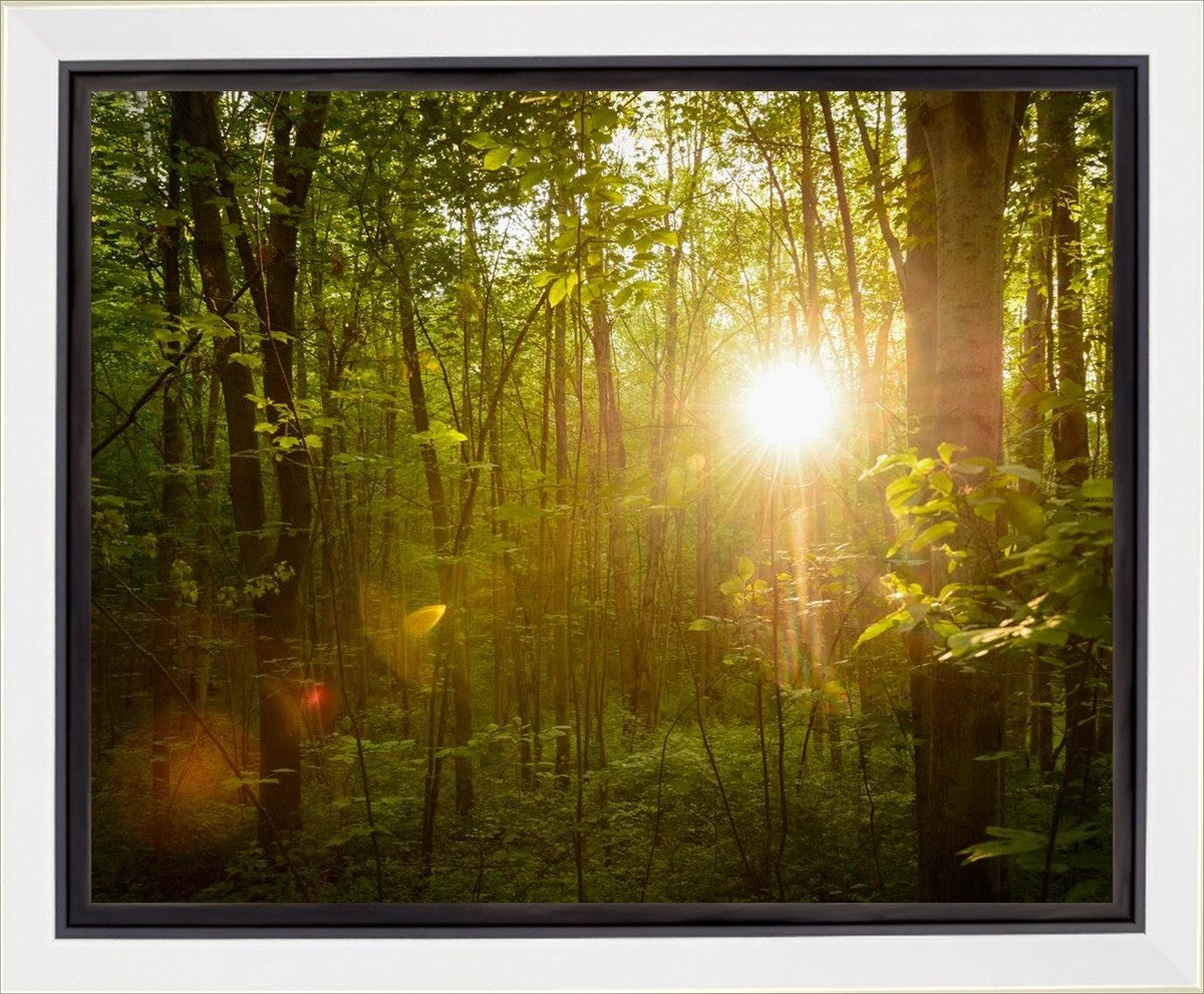 The Morning Breaks Gallery Wrap