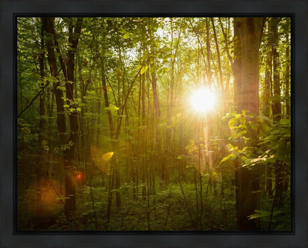 The Morning Breaks Gallery Wrap