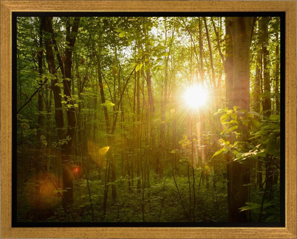 The Morning Breaks Gallery Wrap