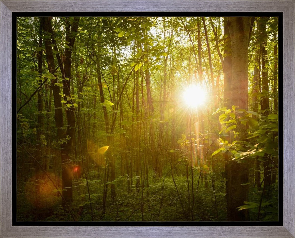 The Morning Breaks Gallery Wrap