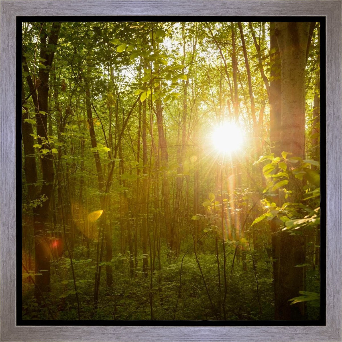 The Morning Breaks Gallery Wrap