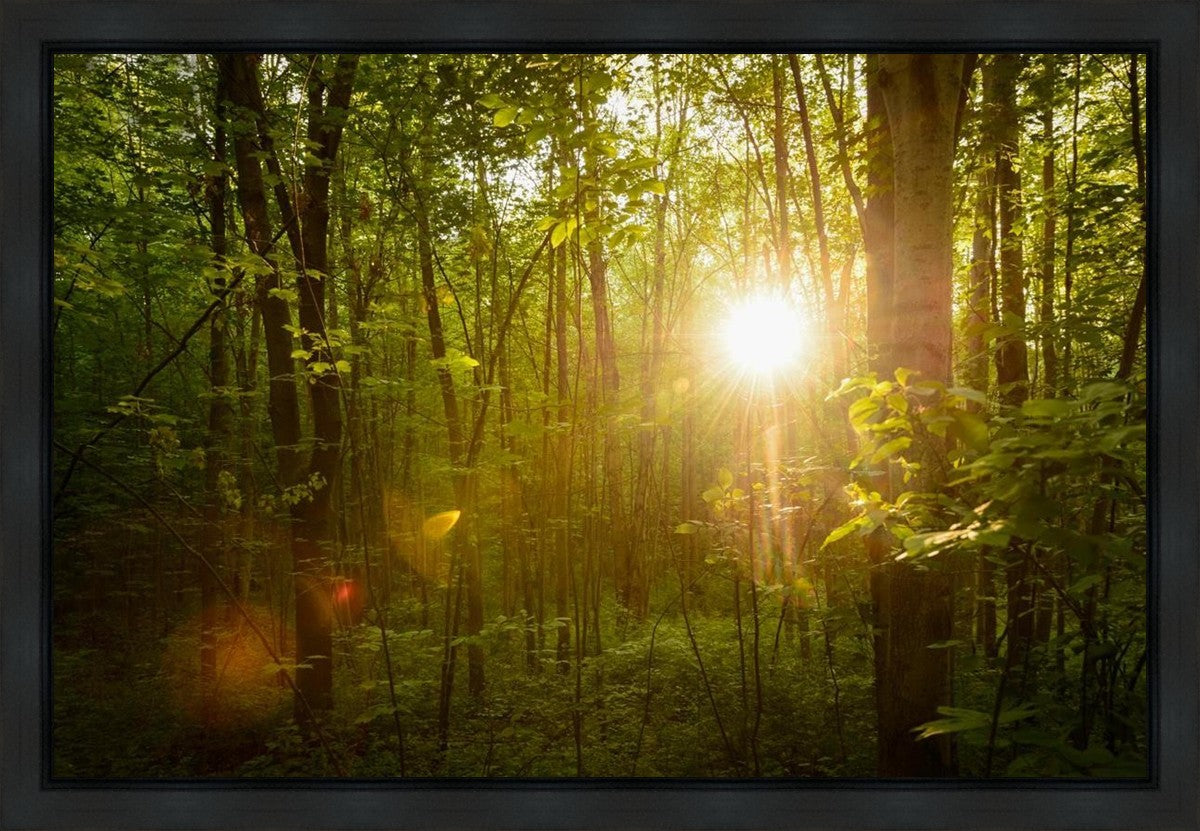 The Morning Breaks Gallery Wrap