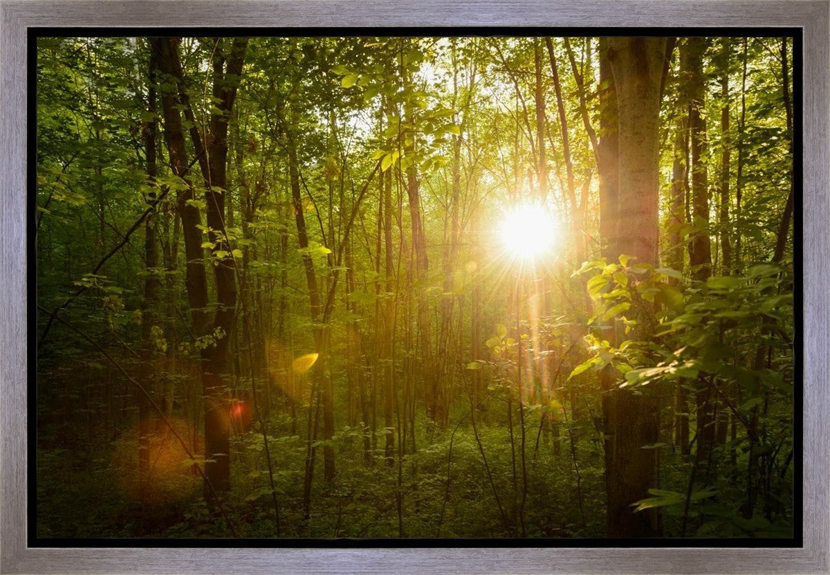 The Morning Breaks Gallery Wrap