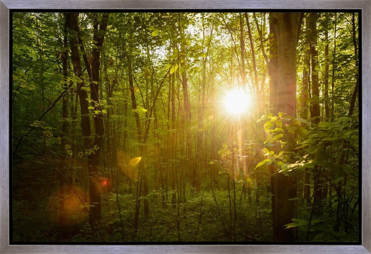 The Morning Breaks Gallery Wrap
