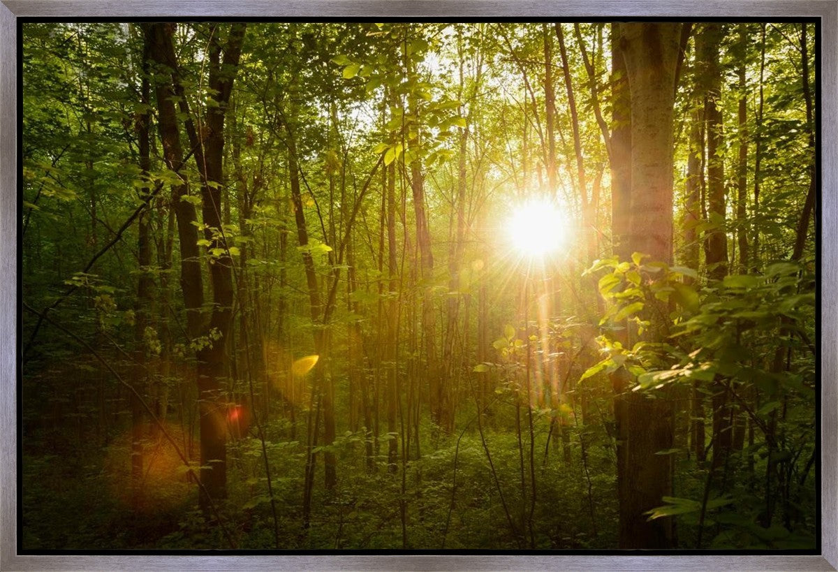 The Morning Breaks Gallery Wrap