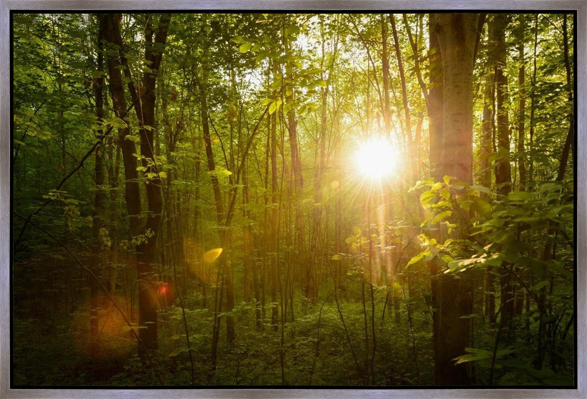 The Morning Breaks Gallery Wrap