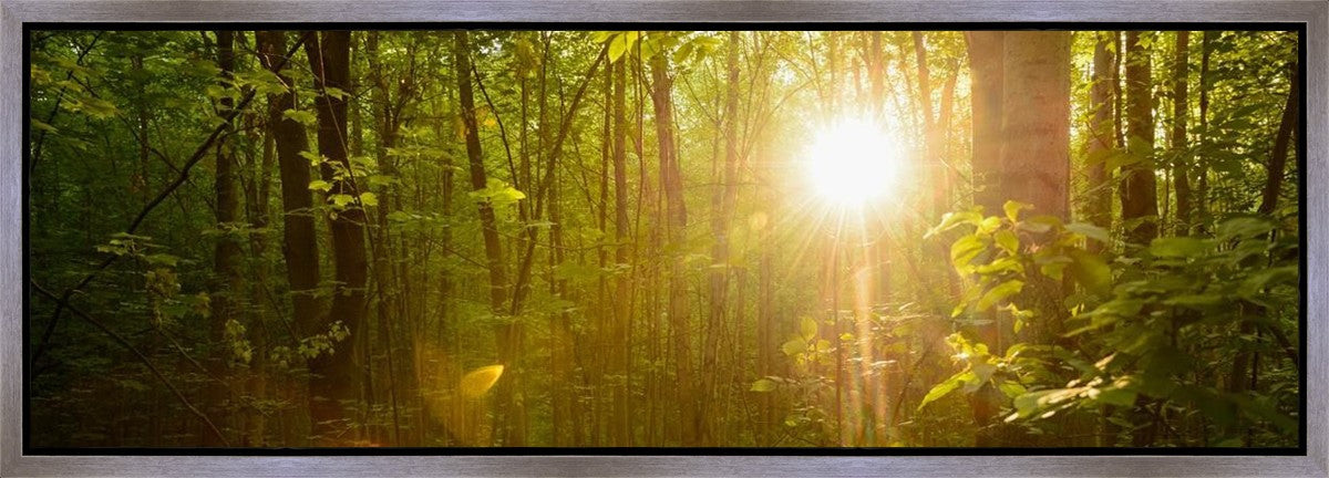 The Morning Breaks Gallery Wrap