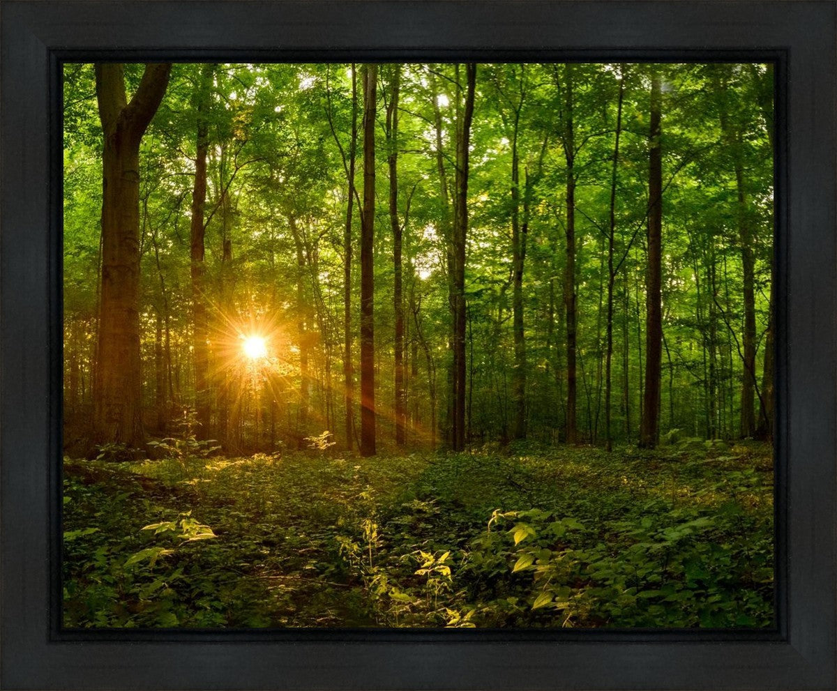 Sacred Morning Gallery Wrap