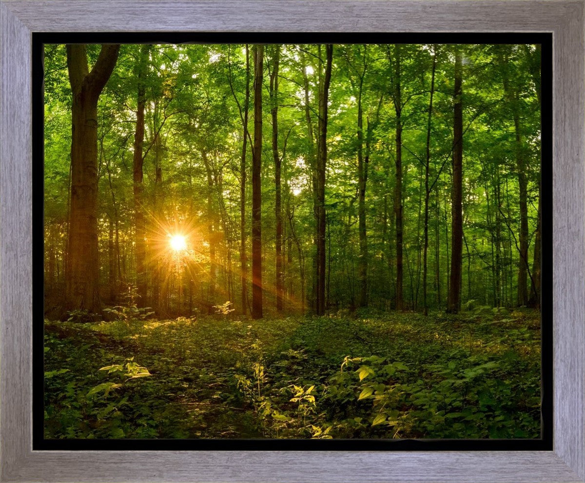 Sacred Morning Gallery Wrap