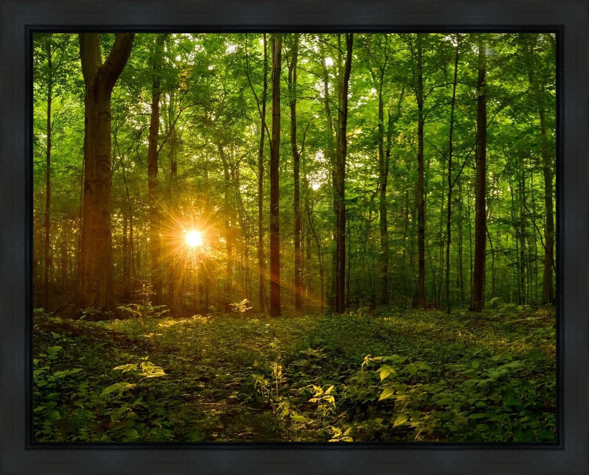 Sacred Morning Gallery Wrap