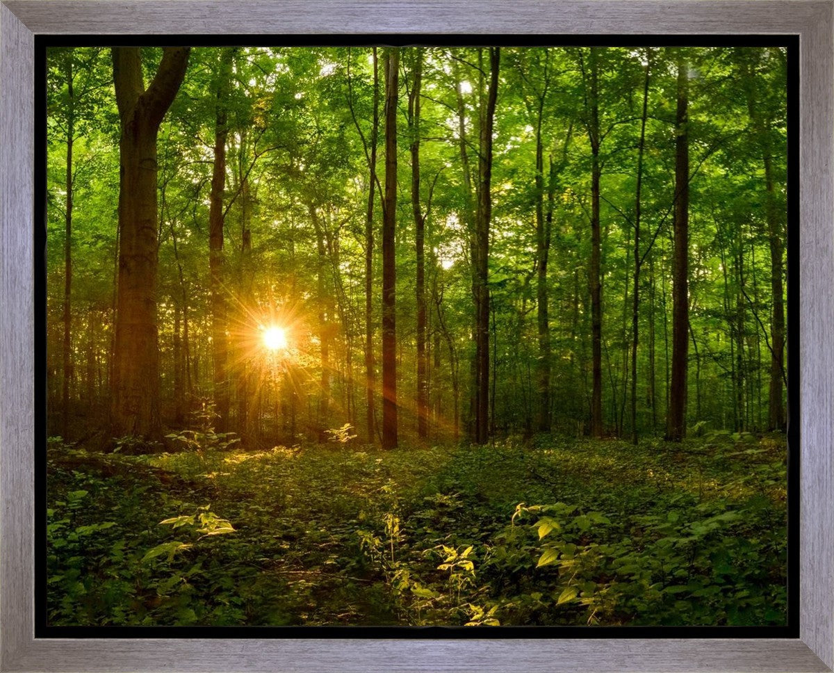 Sacred Morning Gallery Wrap