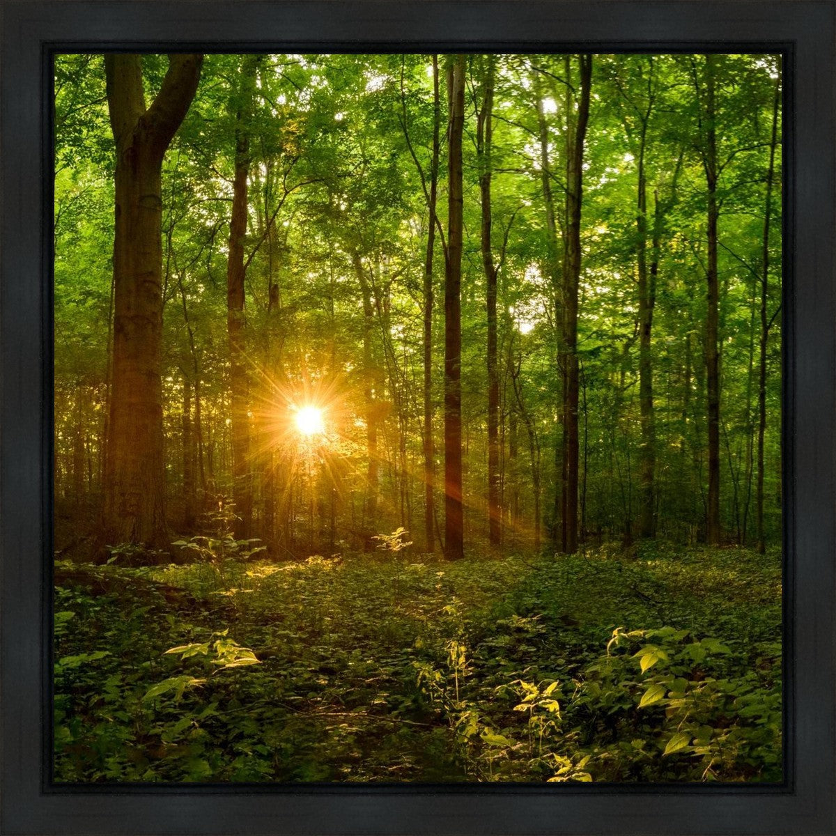 Sacred Morning Gallery Wrap