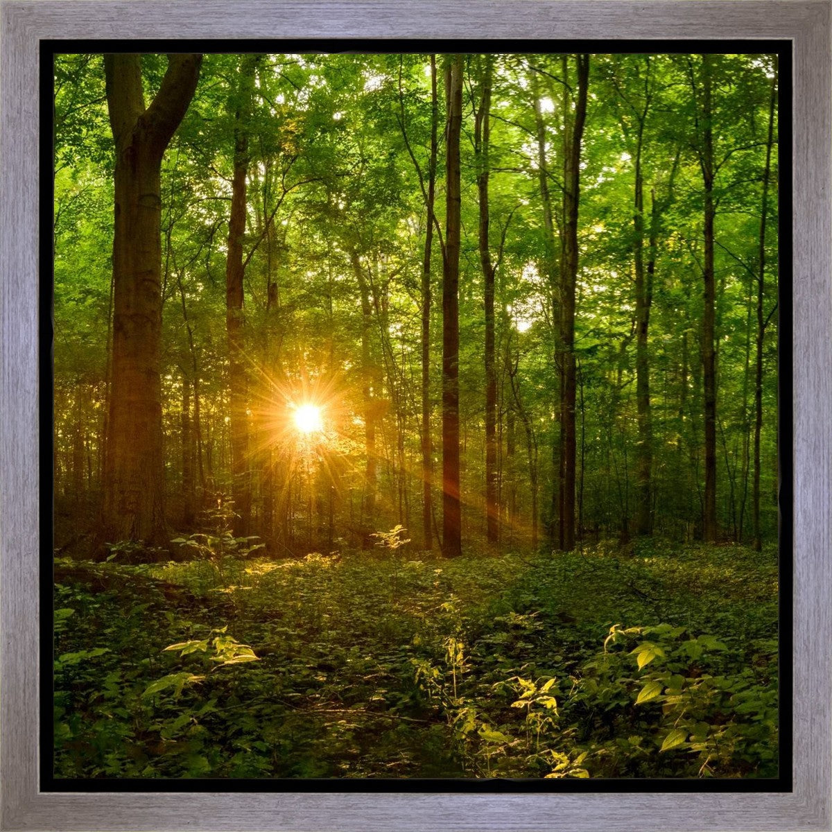 Sacred Morning Gallery Wrap