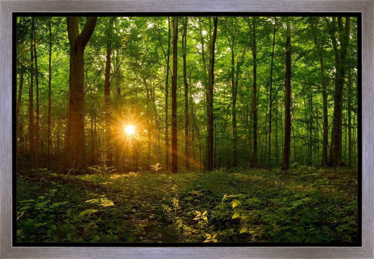 Sacred Morning Gallery Wrap