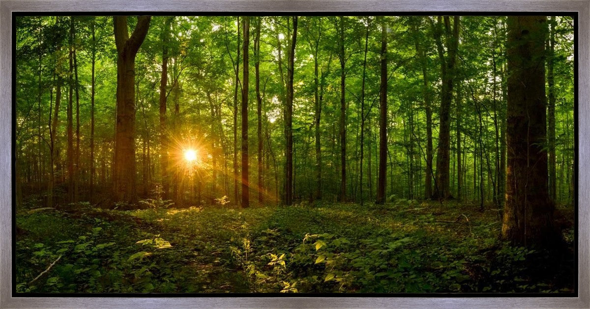 Sacred Morning Gallery Wrap
