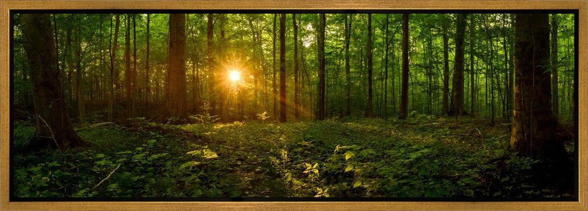 Sacred Morning Gallery Wrap