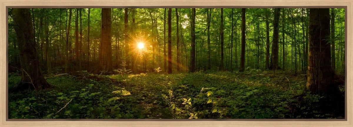 Sacred Morning Gallery Wrap