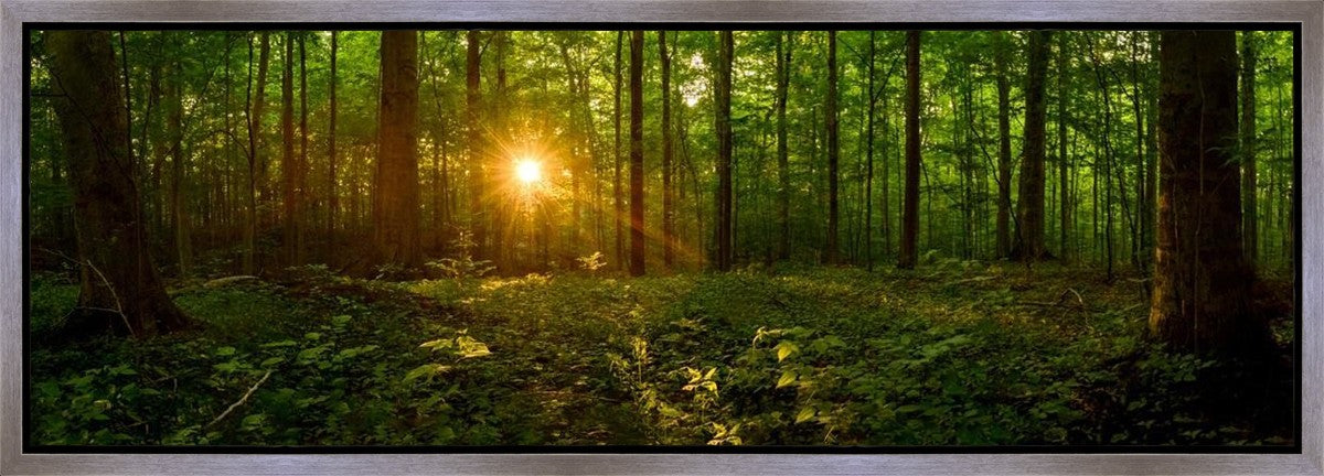 Sacred Morning Gallery Wrap