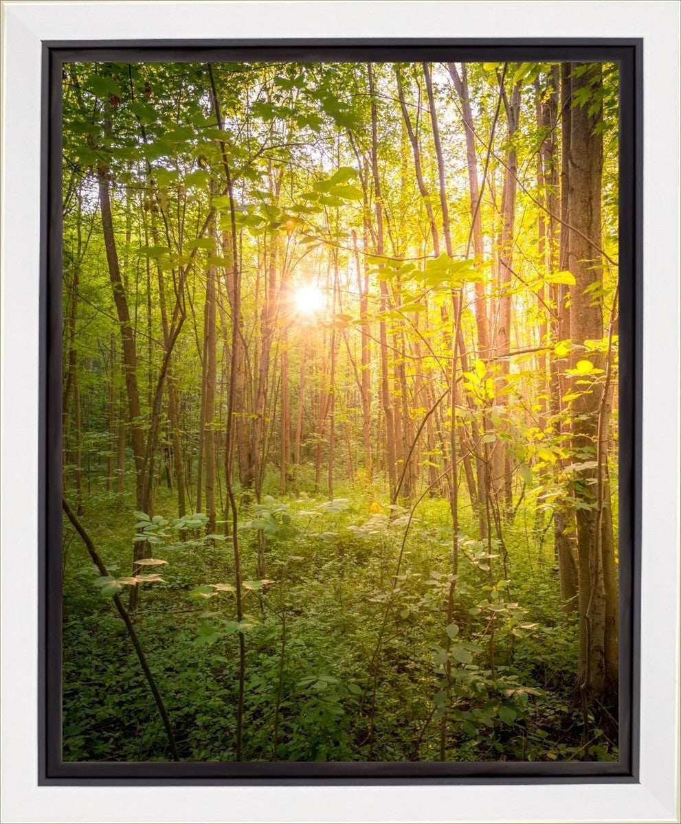 Sweet Hour of Prayer