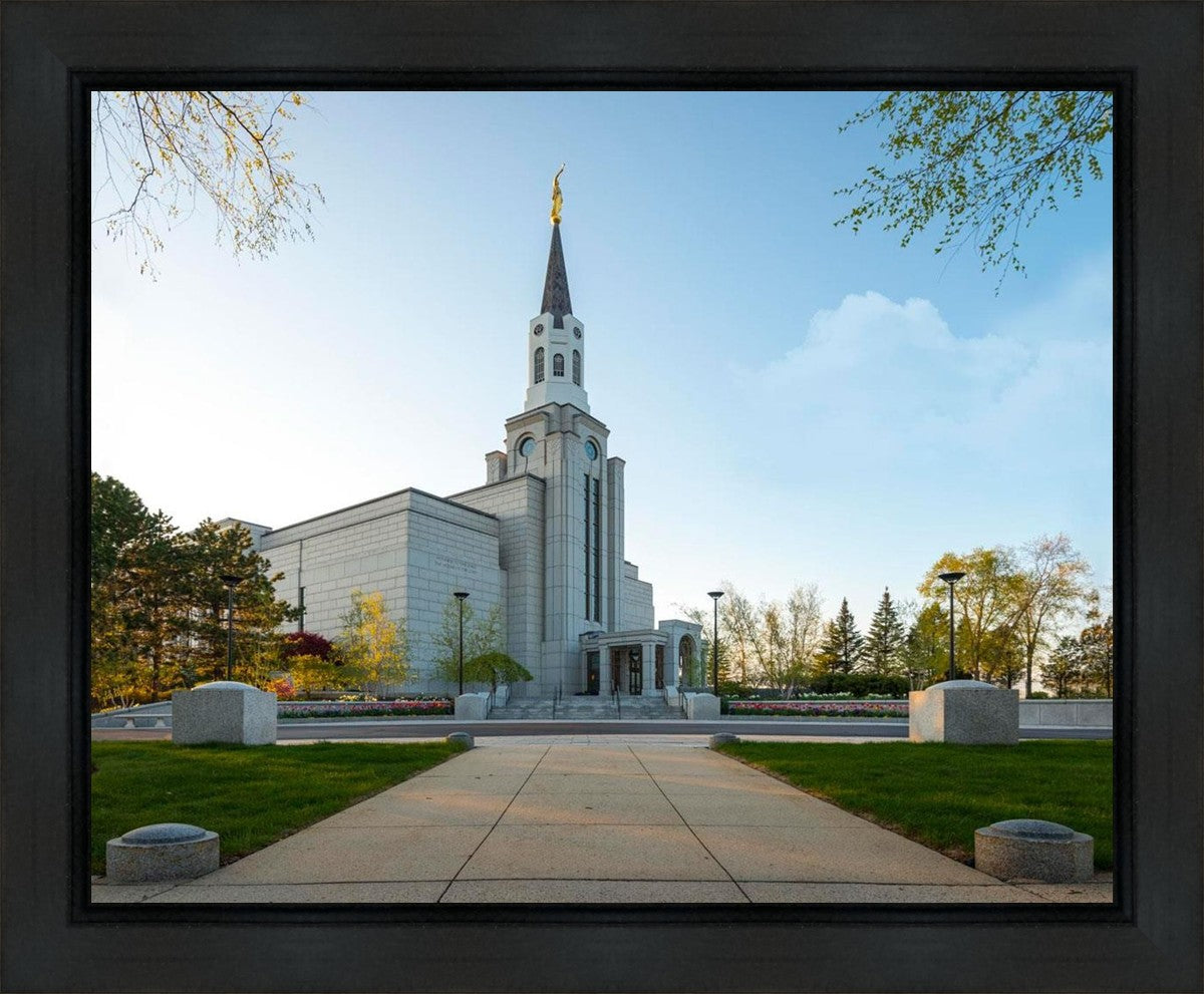 Boston Temple Spring Blossoms Gallery Wrap
