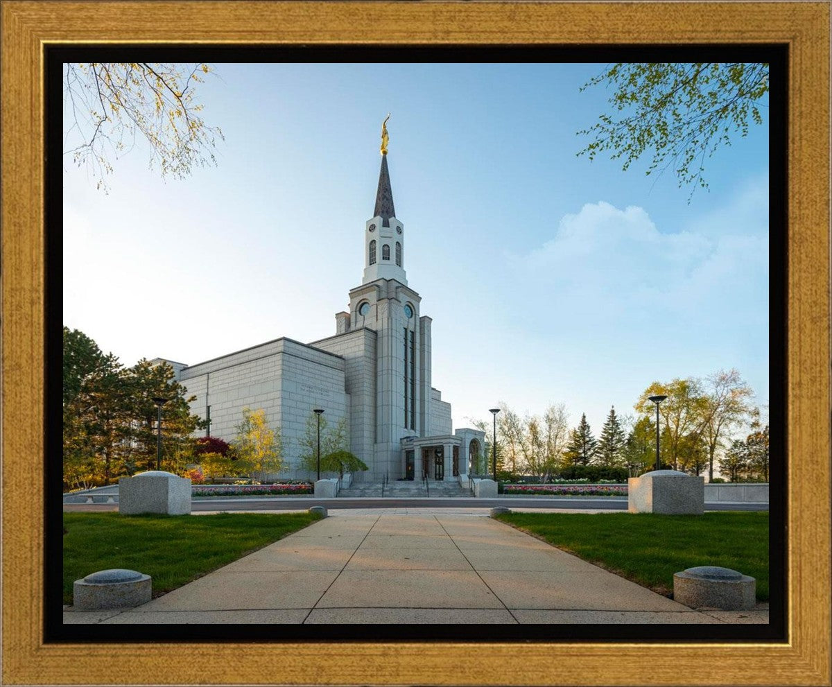Boston Temple Spring Blossoms Gallery Wrap