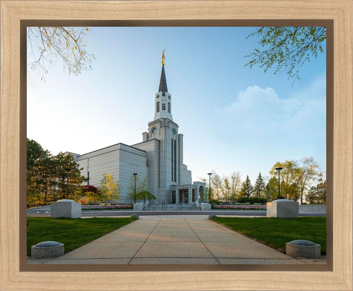 Boston Temple Spring Blossoms Gallery Wrap