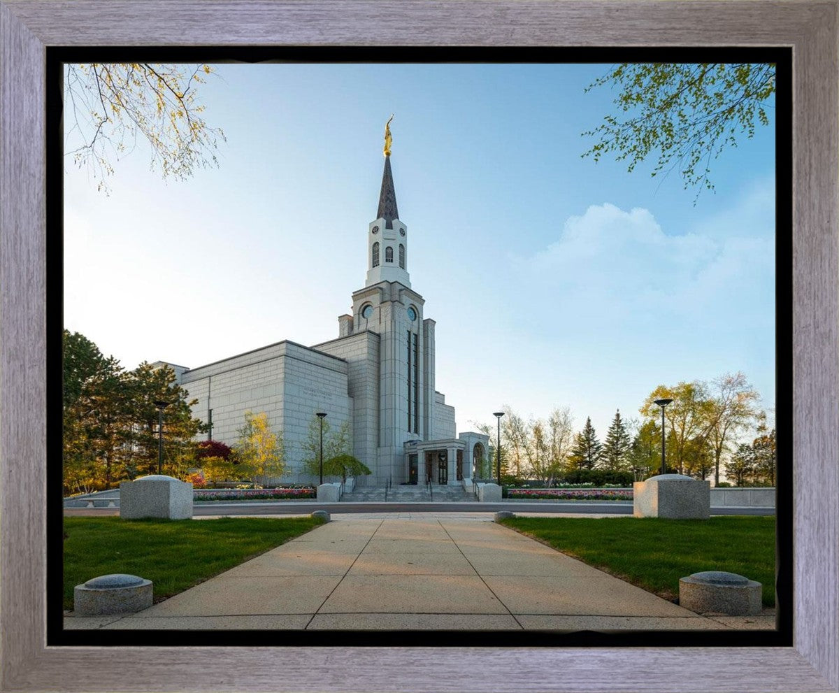 Boston Temple Spring Blossoms Gallery Wrap