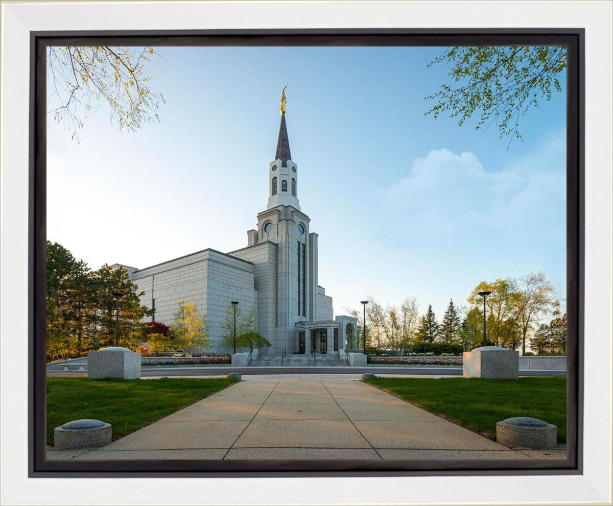 Boston Temple Spring Blossoms Gallery Wrap
