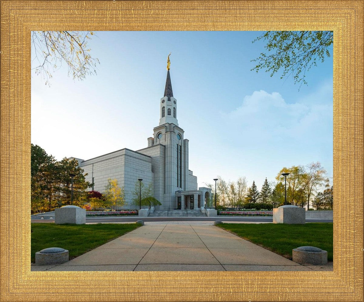 Boston Temple Spring Blossoms