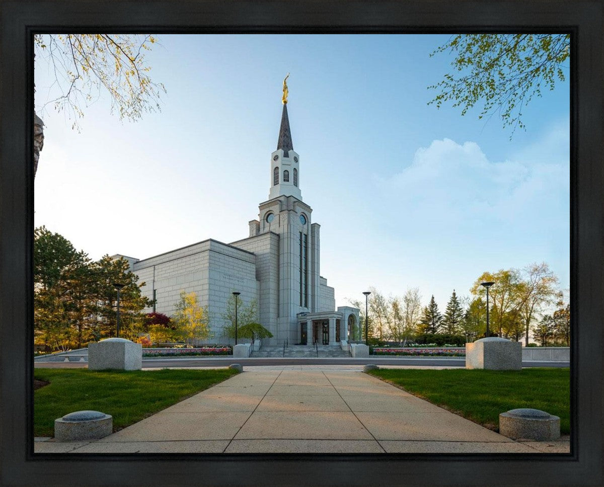 Boston Temple Spring Blossoms Gallery Wrap