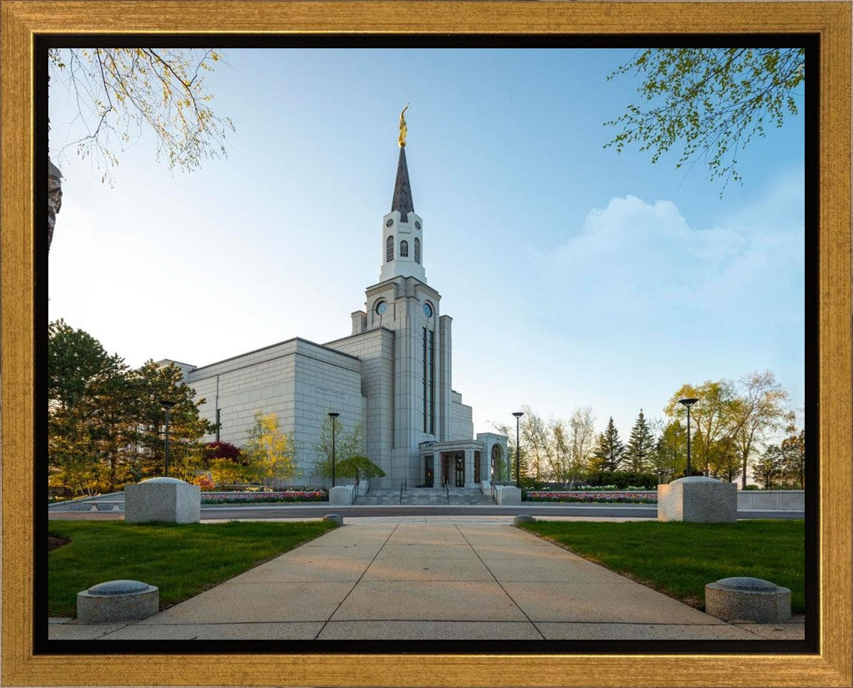 Boston Temple Spring Blossoms Gallery Wrap