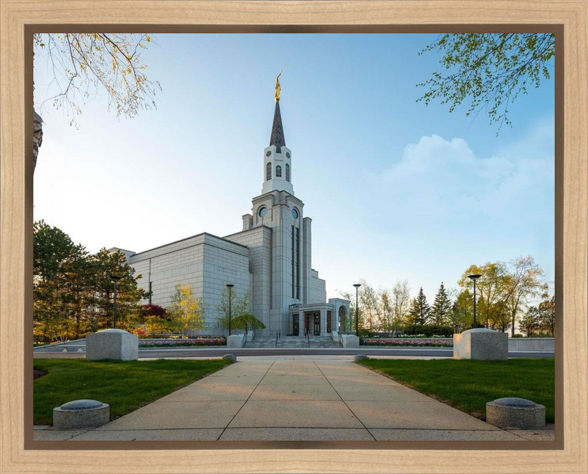 Boston Temple Spring Blossoms Gallery Wrap