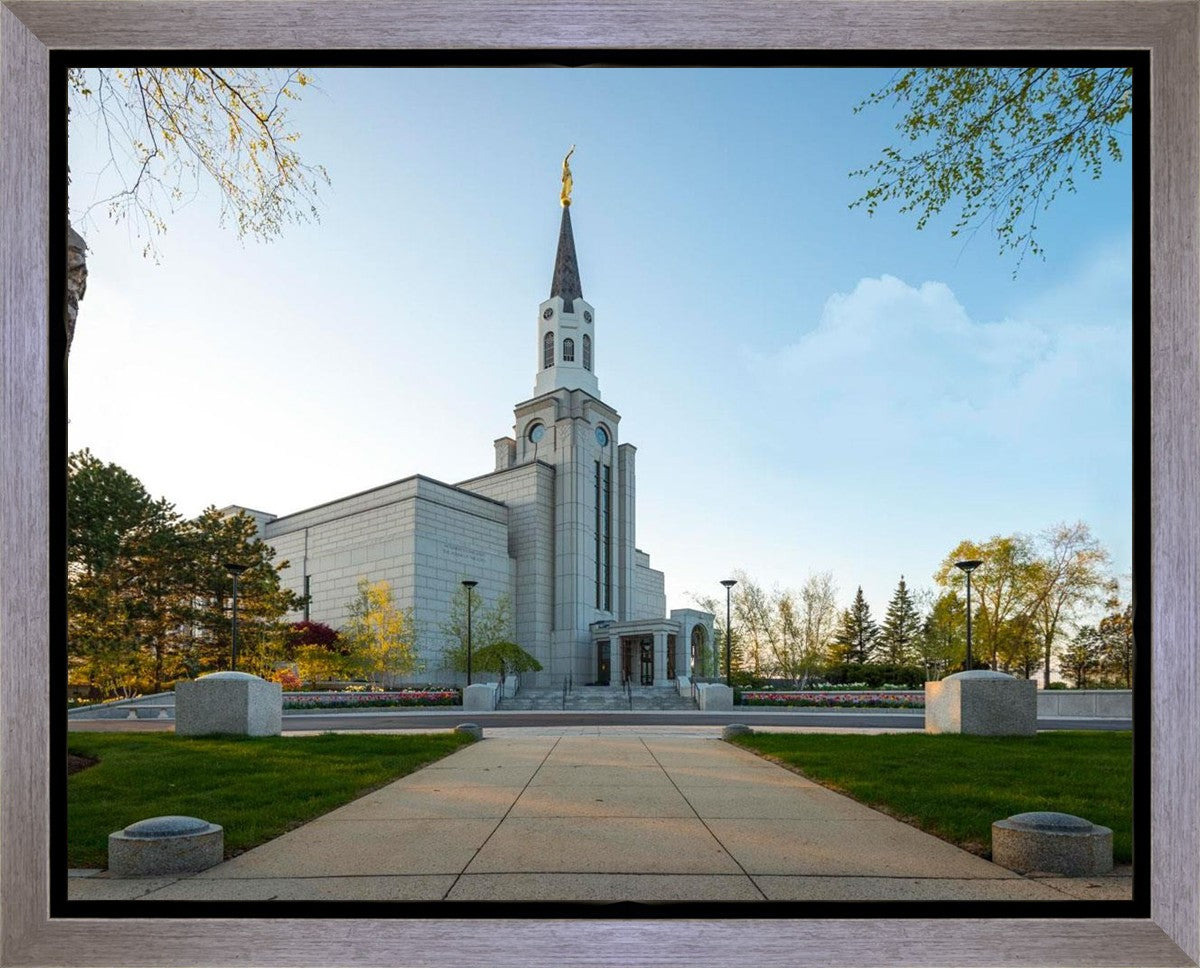 Boston Temple Spring Blossoms Gallery Wrap