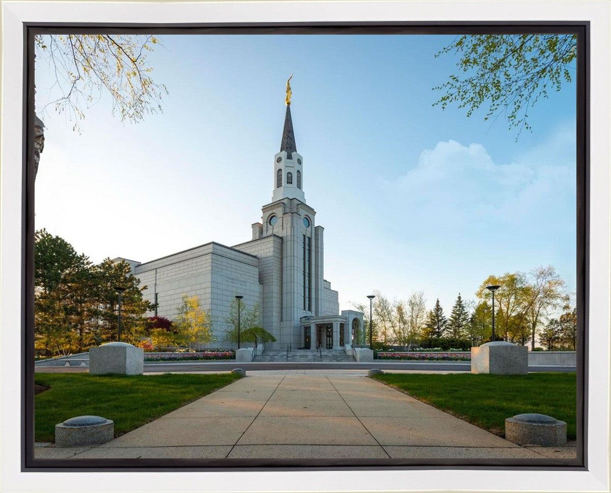 Boston Temple Spring Blossoms Gallery Wrap