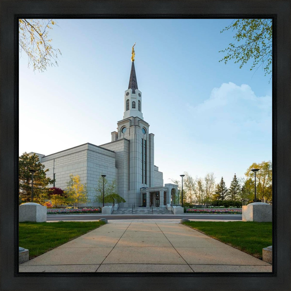 Boston Temple Spring Blossoms Gallery Wrap