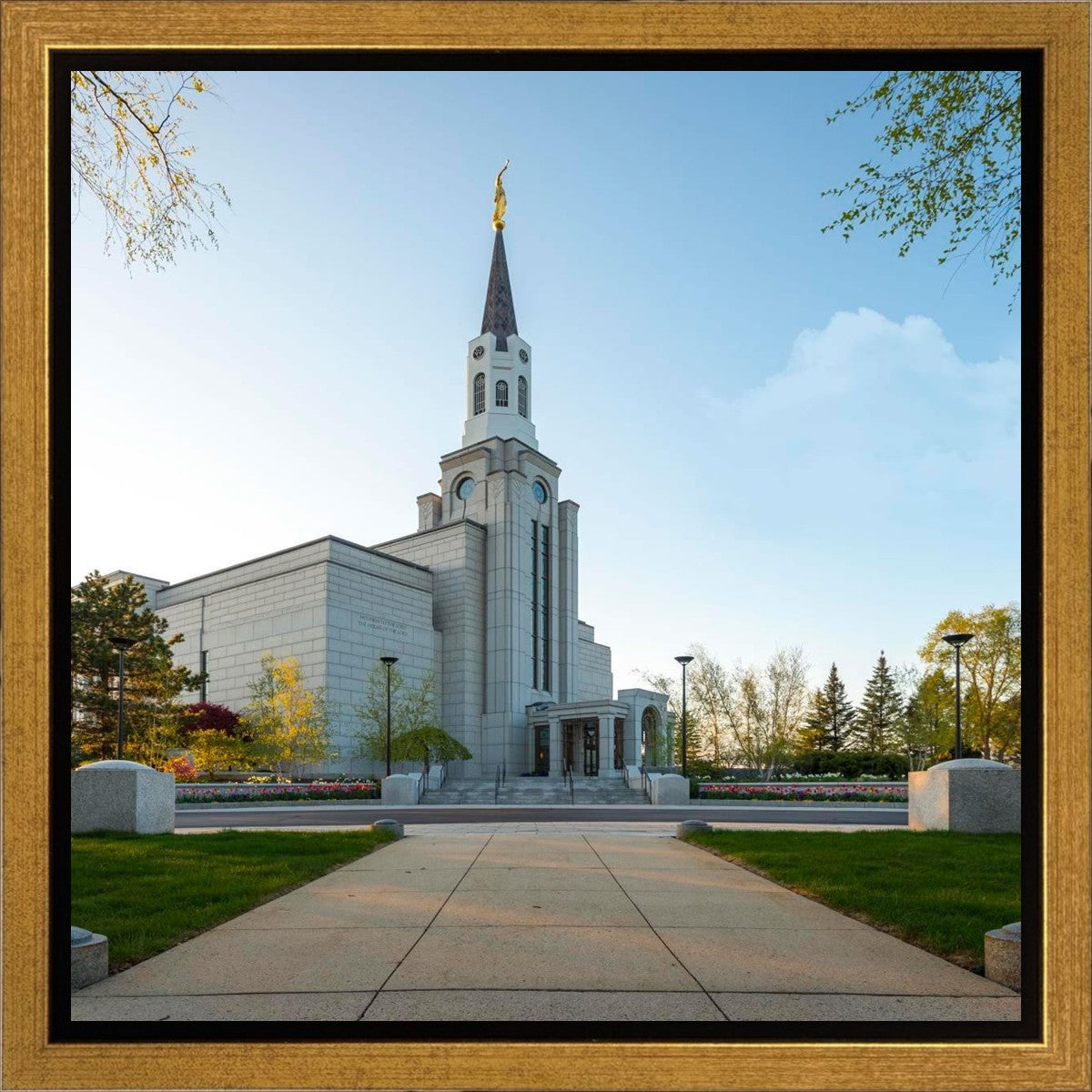 Boston Temple Spring Blossoms Gallery Wrap