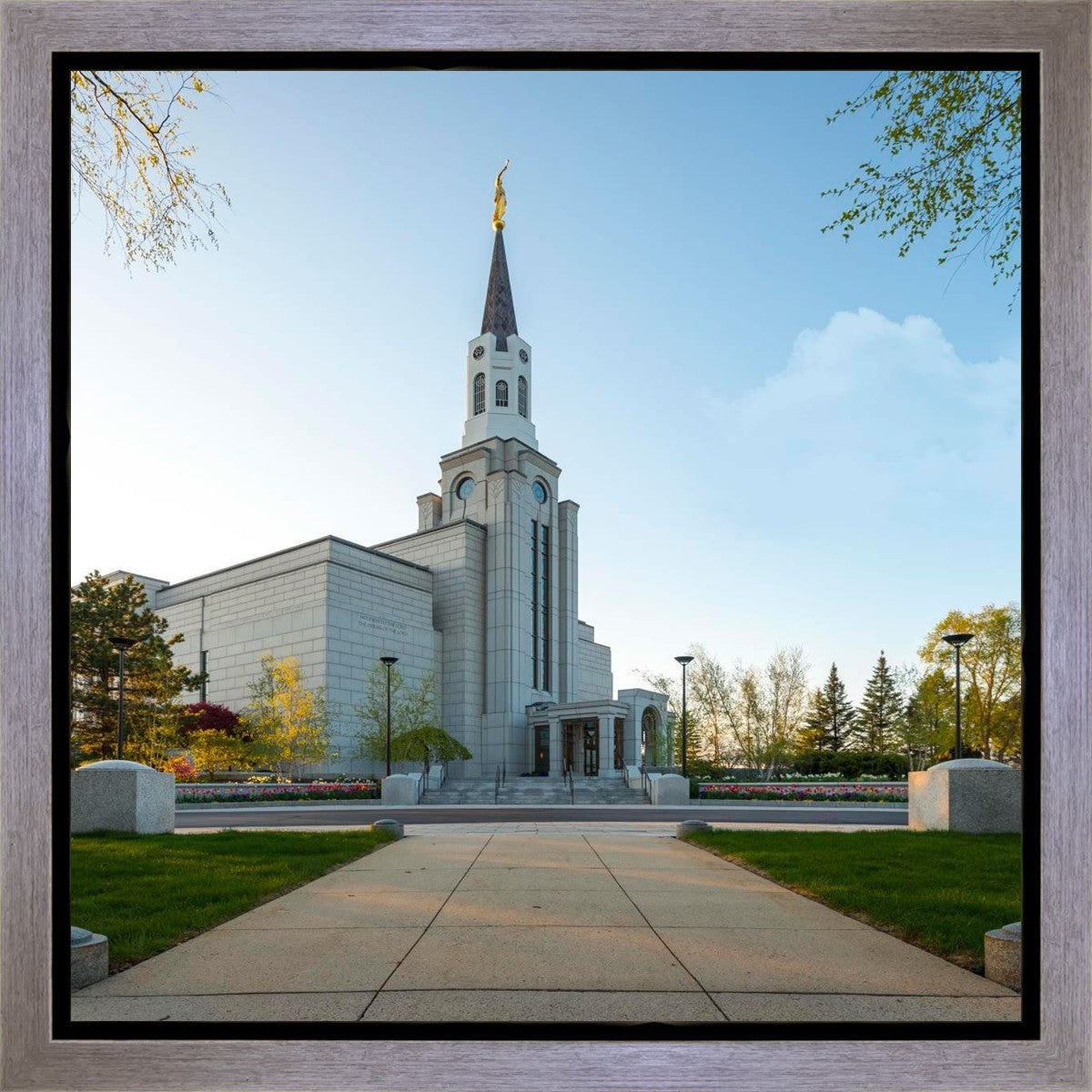 Boston Temple Spring Blossoms Gallery Wrap