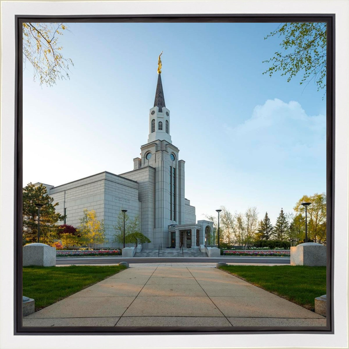 Boston Temple Spring Blossoms Gallery Wrap